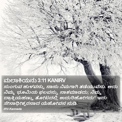 ಮಲಾಕಿಯನು 3:11 KANIRV Bible Verse Image