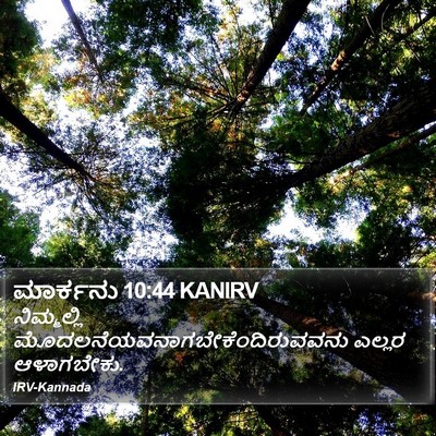 ಮಾರ್ಕನು 10:44 KANIRV Bible Verse Image