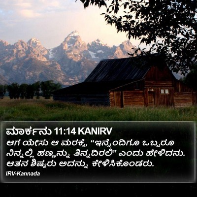 ಮಾರ್ಕನು 11:14 KANIRV Bible Verse Image