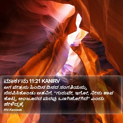 ಮಾರ್ಕನು 11:21 KANIRV Bible Verse Image