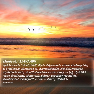ಮಾರ್ಕನು 12:14 KANIRV Bible Verse Image
