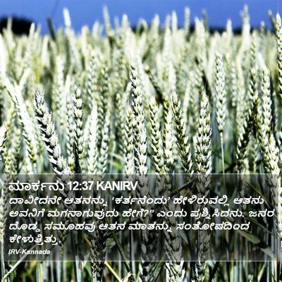 ಮಾರ್ಕನು 12:37 KANIRV Bible Verse Image