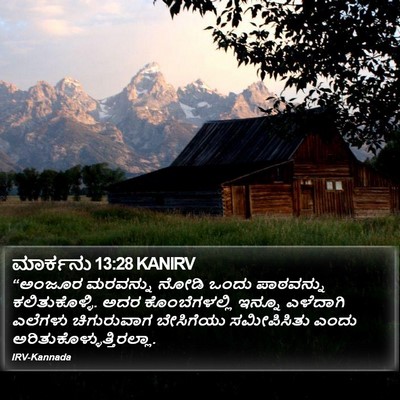 ಮಾರ್ಕನು 13:28 KANIRV Bible Verse Image