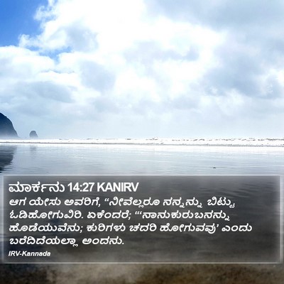 ಮಾರ್ಕನು 14:27 KANIRV Bible Verse Image