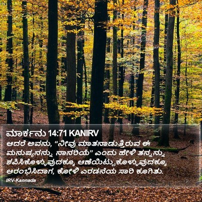 ಮಾರ್ಕನು 14:71 KANIRV Bible Verse Image
