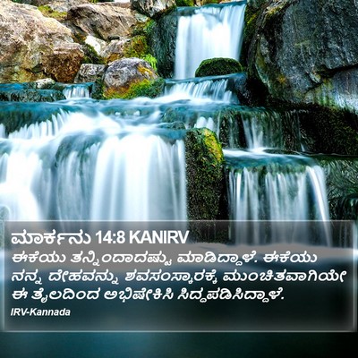 ಮಾರ್ಕನು 14:8 KANIRV Bible Verse Image