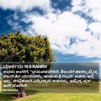 ಮಾರ್ಕನು 16:6 KANIRV Bible Verse Image