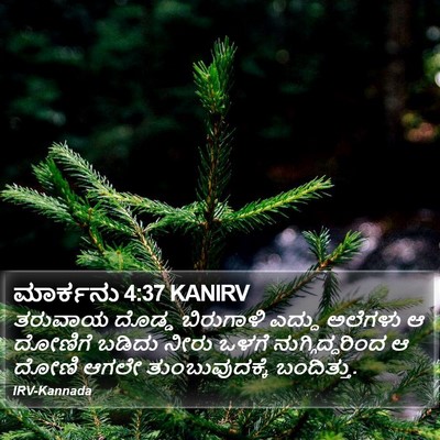 ಮಾರ್ಕನು 4:37 KANIRV Bible Verse Image