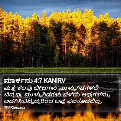 ಮಾರ್ಕನು 4:7 KANIRV Bible Verse Image