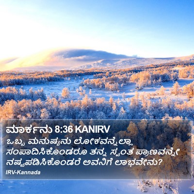 ಮಾರ್ಕನು 8:36 KANIRV Bible Verse Image