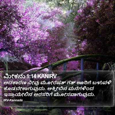 ಮೀಕನು 1:14 KANIRV Bible Verse Image