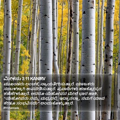 ಮೀಕನು 3:11 KANIRV Bible Verse Image