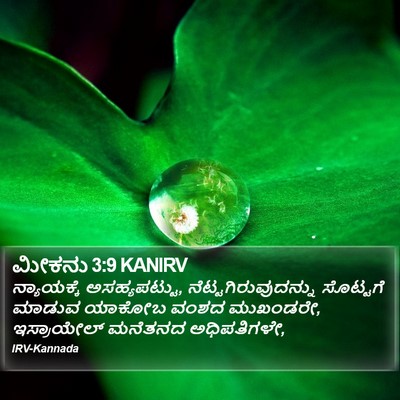 ಮೀಕನು 3:9 KANIRV Bible Verse Image