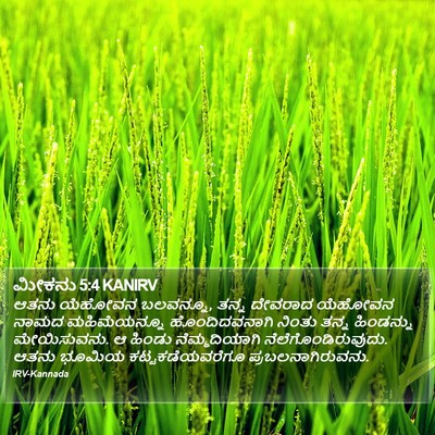ಮೀಕನು 5:4 KANIRV Bible Verse Image