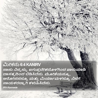 ಮೀಕನು 6:4 KANIRV Bible Verse Image