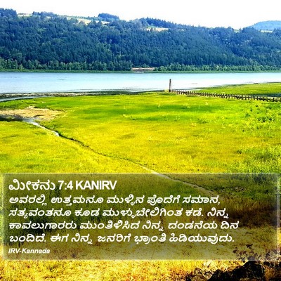ಮೀಕನು 7:4 KANIRV Bible Verse Image