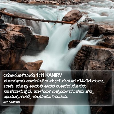 ಯಾಕೋಬನು 1:11 KANIRV Bible Verse Image