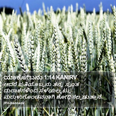 ಯಾಕೋಬನು 1:14 KANIRV Bible Verse Image