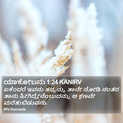 ಯಾಕೋಬನು 1:24 KANIRV Bible Verse Image