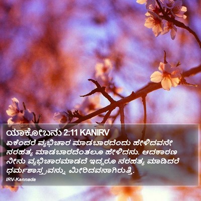ಯಾಕೋಬನು 2:11 KANIRV Bible Verse Image