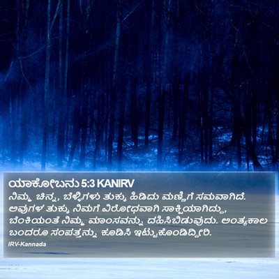 ಯಾಕೋಬನು 5:3 KANIRV Bible Verse Image