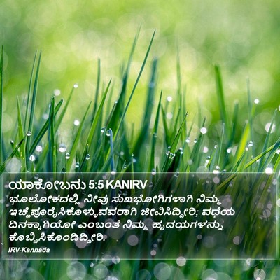 ಯಾಕೋಬನು 5:5 KANIRV Bible Verse Image