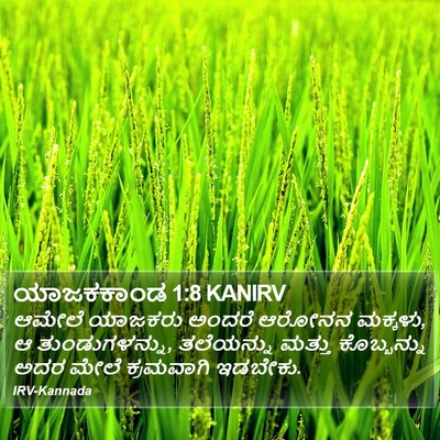 ಯಾಜಕಕಾಂಡ 1:8 KANIRV Bible Verse Image