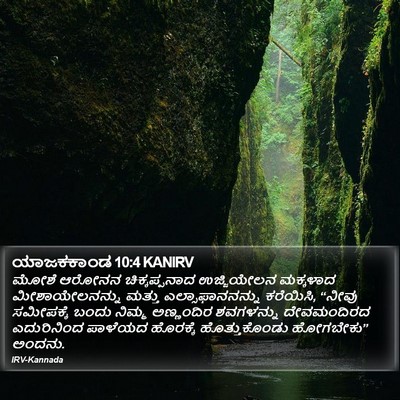 ಯಾಜಕಕಾಂಡ 10:4 KANIRV Bible Verse Image