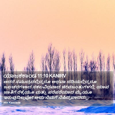 ಯಾಜಕಕಾಂಡ 11:10 KANIRV Bible Verse Image