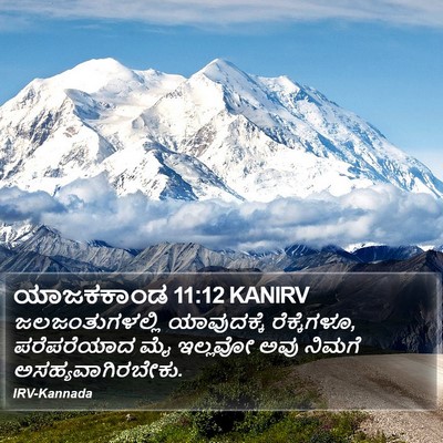 ಯಾಜಕಕಾಂಡ 11:12 KANIRV Bible Verse Image