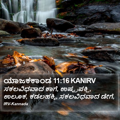 ಯಾಜಕಕಾಂಡ 11:16 KANIRV Bible Verse Image