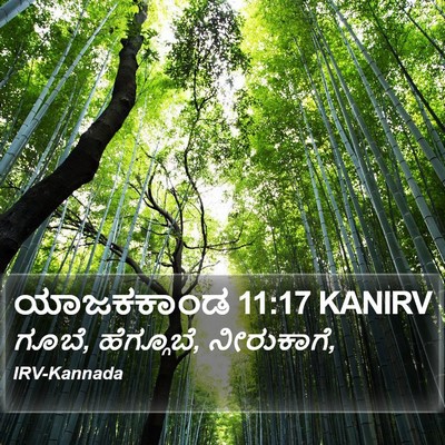 ಯಾಜಕಕಾಂಡ 11:17 KANIRV Bible Verse Image