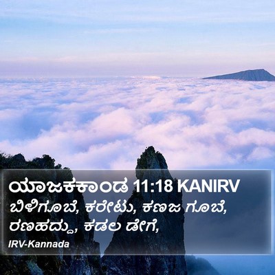 ಯಾಜಕಕಾಂಡ 11:18 KANIRV Bible Verse Image