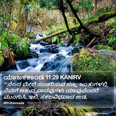 ಯಾಜಕಕಾಂಡ 11:29 KANIRV Bible Verse Image