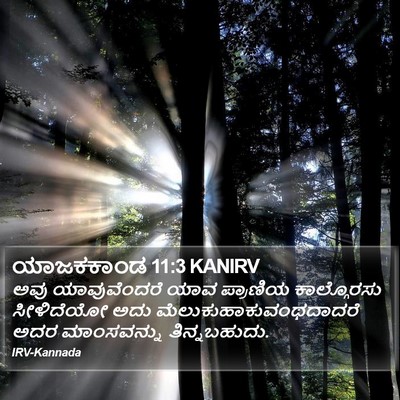 ಯಾಜಕಕಾಂಡ 11:3 KANIRV Bible Verse Image