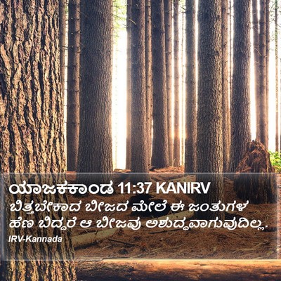 ಯಾಜಕಕಾಂಡ 11:37 KANIRV Bible Verse Image