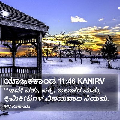 ಯಾಜಕಕಾಂಡ 11:46 KANIRV Bible Verse Image