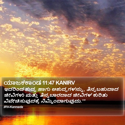 ಯಾಜಕಕಾಂಡ 11:47 KANIRV Bible Verse Image