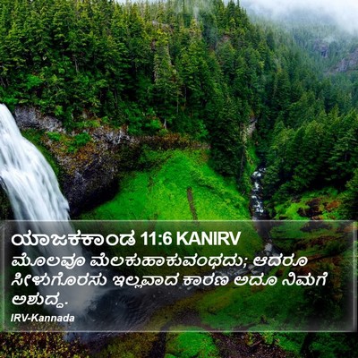 ಯಾಜಕಕಾಂಡ 11:6 KANIRV Bible Verse Image