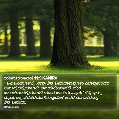 ಯಾಜಕಕಾಂಡ 11:9 KANIRV Bible Verse Image