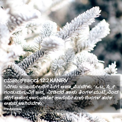 ಯಾಜಕಕಾಂಡ 12:2 KANIRV Bible Verse Image