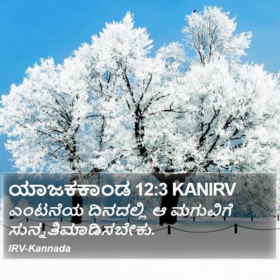 ಯಾಜಕಕಾಂಡ 12:3 KANIRV Bible Verse Image