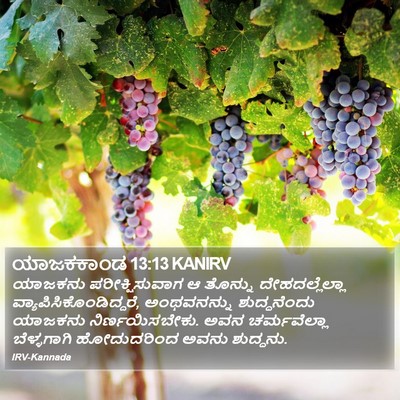 ಯಾಜಕಕಾಂಡ 13:13 KANIRV Bible Verse Image