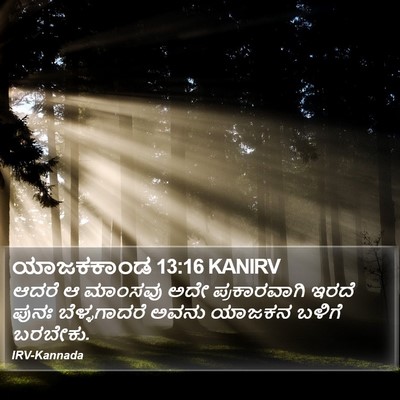 ಯಾಜಕಕಾಂಡ 13:16 KANIRV Bible Verse Image