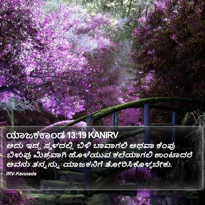 ಯಾಜಕಕಾಂಡ 13:19 KANIRV Bible Verse Image