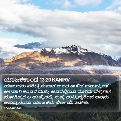ಯಾಜಕಕಾಂಡ 13:20 KANIRV Bible Verse Image