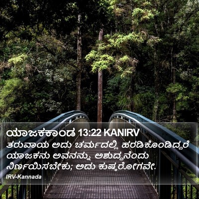 ಯಾಜಕಕಾಂಡ 13:22 KANIRV Bible Verse Image