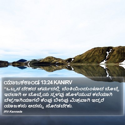 ಯಾಜಕಕಾಂಡ 13:24 KANIRV Bible Verse Image