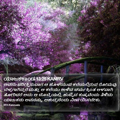ಯಾಜಕಕಾಂಡ 13:25 KANIRV Bible Verse Image