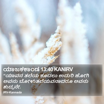 ಯಾಜಕಕಾಂಡ 13:40 KANIRV Bible Verse Image